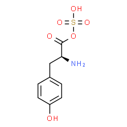 ChemSpider 2D Image | (2S)-2-Amino-3-(4-hydroxyphenyl)propanoyl hydrogen sulfate | C9H11NO6S