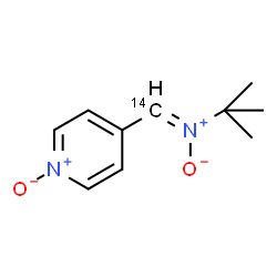 ChemSpider 2D Image | N-(2-Methyl-2-propanyl)-N-[(Z)-(1-oxido-4-pyridinyl)(~14~C)methylene]amine oxide | C914CH14N2O2