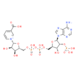 ChemSpider 2D Image | Nicotinic acid adenine dinucleotide phosphate | C21H28N6O18P3