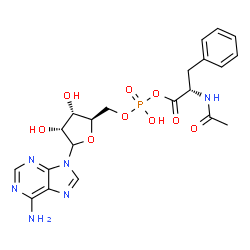 ChemSpider 2D Image | 9-{5-O-[{[(2S)-2-Acetamido-3-phenylpropanoyl]oxy}(hydroxy)phosphoryl]-D-ribofuranosyl}-9H-purin-6-amine | C21H25N6O9P