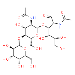 ChemSpider 2D Image | beta-D-Galactopyranosyl-(1->4)-2-acetamido-2-deoxy-beta-D-glucopyranosyl-(1->3)-(2xi)-2-acetamido-2-deoxy-D-lyxo-hexose | C22H38N2O16