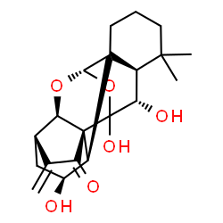 ChemSpider 2D Image | (2S,3S,5S,8R,9R,11S,14S,15R)-3,13,14-Trihydroxy-16,16-dimethyl-6-methylene-10,12-dioxahexacyclo[9.8.0.0~1,15~.0~2,8~.0~5,9~.0~8,13~]nonadecan-7-one | C20H26O6