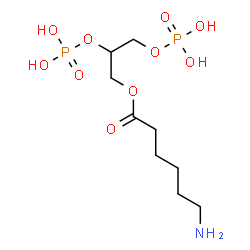 ChemSpider 2D Image | 2,3-Bis(phosphonooxy)propyl 6-aminohexanoate | C9H21NO10P2