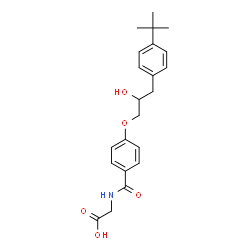 ChemSpider 2D Image | N-(4-{2-Hydroxy-3-[4-(2-methyl-2-propanyl)phenyl]propoxy}benzoyl)glycine | C22H27NO5
