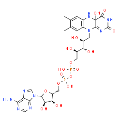 ChemSpider 2D Image | [[(2R,3S,4S)-5-(4a-hydroxy-7,8-dimethyl-2,4-dioxo-5H-benzo[g]pteridin-10-yl)-2,3,4-trihydroxy-pentoxy]-hydroxy-phosphoryl] [(2R,3S,4R)-5-(6-aminopurin-9-yl)-3,4-dihydroxy-tetrahydrofuran-2-yl]methyl hydrogen phosphate | C27H35N9O16P2
