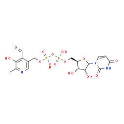 ChemSpider 2D Image | 1-{5-O-[({[(4-Formyl-5-hydroxy-6-methyl-3-pyridinyl)methoxy](hydroxy)phosphoryl}oxy)(hydroxy)phosphoryl]-D-ribofuranosyl}-2,4(1H,3H)-pyrimidinedione | C17H21N3O14P2