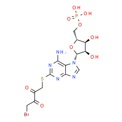 ChemSpider 2D Image | 2-[(4-Bromo-2,3-dioxobutyl)sulfanyl]-7-(5-O-phosphono-beta-D-ribofuranosyl)-7H-purin-6-amine | C14H17BrN5O9PS