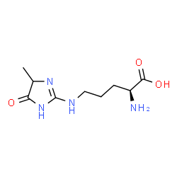 ChemSpider 2D Image | N~5~-(4-Methyl-5-oxo-4,5-dihydro-1H-imidazol-2-yl)-L-ornithine | C9H16N4O3