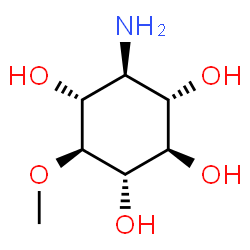 ChemSpider 2D Image | (1S,2R,3S,4S,5R,6S)-4-Amino-6-methoxy-1,2,3,5-cyclohexanetetrol | C7H15NO5
