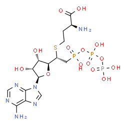 ChemSpider 2D Image | (2S)-2-Amino-4-{[(1S)-1-[(2S,3S,4R,5R)-5-(6-amino-9H-purin-9-yl)-3,4-dihydroxytetrahydro-2-furanyl]-2-(hydroxy{[hydroxy(phosphonooxy)phosphoryl]oxy}phosphoryl)ethyl]sulfanyl}butanoic acid (non-preferr
ed name) | C15H25N6O14P3S
