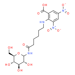 ChemSpider 2D Image | N-{6-[(2-Carboxy-4,6-dinitrophenyl)amino]hexanoyl}-D-glucopyranosylamine | C19H26N4O12