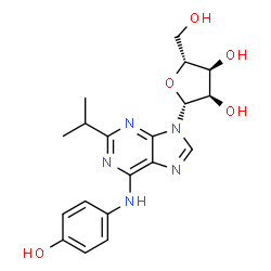 ChemSpider 2D Image | N-(4-Hydroxyphenyl)-2-isopropyladenosine | C19H23N5O5
