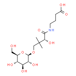 ChemSpider 2D Image | 4-{[(2R)-4-(beta-D-Glucopyranosyloxy)-2-hydroxy-3,3-dimethylbutanoyl]amino}butanoic acid | C16H29NO10