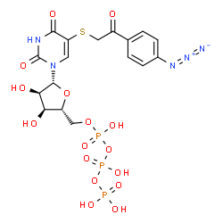 ChemSpider 2D Image | 5-{[2-(4-Azidophenyl)-2-oxoethyl]sulfanyl}uridine 5'-(tetrahydrogen triphosphate) | C17H20N5O16P3S