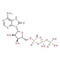 ChemSpider 2D Image | 8-Oxo-Adenosine-5'-Triphosphate | C10H16N5O14P3