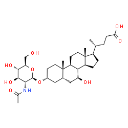 ChemSpider 2D Image | (3alpha,5beta,7beta)-3-[(2-Acetamido-2-deoxy-beta-D-glucopyranosyl)oxy]-7-hydroxycholan-24-oic acid | C32H53NO9