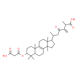 ChemSpider 2D Image | 3-(2-Carboxyacetoxy)-24-methylene-23-oxolanost-8-en-26-oic acid | C34H50O7