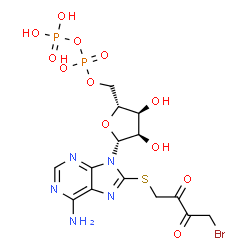 ChemSpider 2D Image | 8-[(4-Bromo-2,3-dioxobutyl)sulfanyl]adenosine 5'-(trihydrogen diphosphate) | C14H18BrN5O12P2S