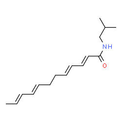ChemSpider 2D Image | 2,4,8,10-dodecatetraenoic acid isobutylamide | C16H25NO