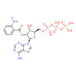 ChemSpider 2D Image | 2'-O-[2-(Methylamino)benzoyl]adenosine 5'-(tetrahydrogen triphosphate) | C18H23N6O14P3