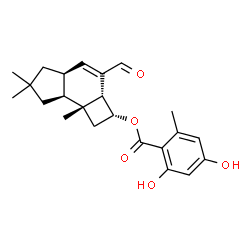ChemSpider 2D Image | (2R,2aR,4aS,7aS,7bR)-3-Formyl-6,6,7b-trimethyl-2,2a,4a,5,6,7,7a,7b-octahydro-1H-cyclobuta[e]inden-2-yl 2,4-dihydroxy-6-methylbenzoate | C23H28O5