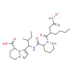 ChemSpider 2D Image | [(3-{[6-{[1-(8-Carboxy-5,6,7,8-tetrahydropyrazolo[1,2-a]pyridazin-4-ium-1-yl)-2-methylbutyl]carbamoyl}tetrahydro-1(2H)-pyridazinyl]carbonyl}heptanoyl)amino]oxidanide | C26H42N6O6