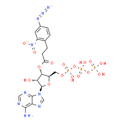 ChemSpider 2D Image | 3'-O-[3-(4-Azido-2-nitrophenyl)propanoyl]adenosine 5'-(tetrahydrogen triphosphate) | C19H22N9O16P3