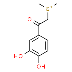 ChemSpider 2D Image | [2-(3,4-Dihydroxyphenyl)-2-oxoethyl](dimethyl)sulfonium | C10H13O3S