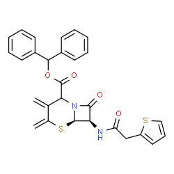ChemSpider 2D Image | Diphenylmethyl (6R,7R)-3,4-bis(methylene)-8-oxo-7-[(2-thienylacetyl)amino]-5-thia-1-azabicyclo[4.2.0]octane-2-carboxylate | C28H24N2O4S2