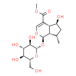 ChemSpider 2D Image | Methyl (1R,4aR,5S,7S,7aS)-1-(beta-D-glucopyranosyloxy)-5-hydroxy-7-methyl-1,4a,5,6,7,7a-hexahydrocyclopenta[c]pyran-4-carboxylate | C17H26O10