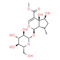 ChemSpider 2D Image | Methyl (1R,4aS,5S,7S,7aS)-1-(beta-D-glucopyranosyloxy)-4a,5-dihydroxy-7-methyl-1,4a,5,6,7,7a-hexahydrocyclopenta[c]pyran-4-carboxylate | C17H26O11