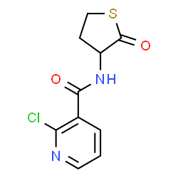 ChemSpider 2D Image | 2-Chloro-N-(2-oxotetrahydro-3-thiophenyl)nicotinamide | C10H9ClN2O2S