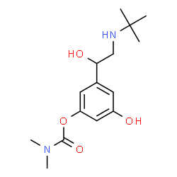ChemSpider 2D Image | BAMBUTEROL MONOCARBAMATE | C15H24N2O4