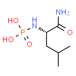 ChemSpider 2D Image | N~2~-Phosphono-L-leucinamide | C6H15N2O4P