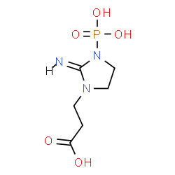 ChemSpider 2D Image | 3-[(2E)-2-Imino-3-phosphono-1-imidazolidinyl]propanoic acid | C6H12N3O5P