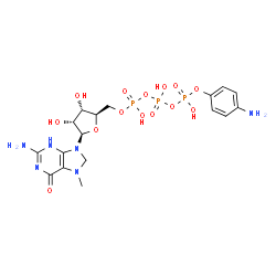 ChemSpider 2D Image | 5'-O-[{[{[(4-Aminophenoxy)(hydroxy)phosphoryl]oxy}(hydroxy)phosphoryl]oxy}(hydroxy)phosphoryl]-7-methyl-7,8-dihydroguanosine | C17H25N6O14P3