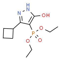 ChemSpider 2D Image | Diethyl (3-cyclobutyl-5-hydroxy-1H-pyrazol-4-yl)phosphonate | C11H19N2O4P