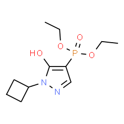 ChemSpider 2D Image | Diethyl (1-cyclobutyl-5-hydroxy-1H-pyrazol-4-yl)phosphonate | C11H19N2O4P