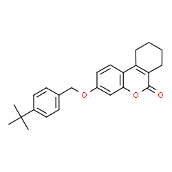 ChemSpider 2D Image | 3-{[4-(2-Methyl-2-propanyl)benzyl]oxy}-7,8,9,10-tetrahydro-6H-benzo[c]chromen-6-one | C24H26O3