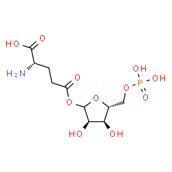 ChemSpider 2D Image | (2S)-2-Amino-5-({(3R,4S,5R)-3,4-dihydroxy-5-[(phosphonooxy)methyl]tetrahydro-2-furanyl}oxy)-5-oxopentanoic acid | C10H18NO11P