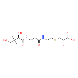 ChemSpider 2D Image | 3-{[2-({N-[(2R)-2,4-Dihydroxy-3,3-dimethylbutanoyl]-beta-alanyl}amino)ethyl]sulfanyl}-2-oxopropanoic acid | C14H24N2O7S