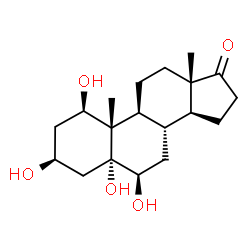 ChemSpider 2D Image | 1beta,3beta,5,6beta-Tetrahydroxy-5alpha-androstan-17-one | C19H30O5