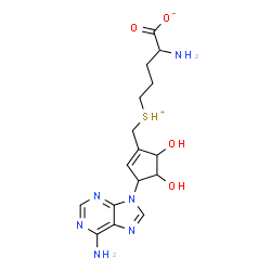 ChemSpider 2D Image | 2-Amino-5-({[3-(6-amino-9H-purin-9-yl)-4,5-dihydroxy-1-cyclopenten-1-yl]methyl}sulfonio)pentanoate | C16H22N6O4S