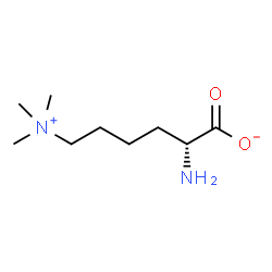 ChemSpider 2D Image | (2R)-2-Amino-6-(trimethylammonio)hexanoate | C9H20N2O2