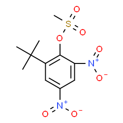 ChemSpider 2D Image | 2,4-dinitro-6-tert-butylphenyl methanesulfonate | C11H14N2O7S