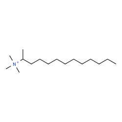 ChemSpider 2D Image | N,N,N-Trimethyl-2-tridecanaminium | C16H36N