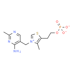 ChemSpider 2D Image | 2-{3-[(4-Amino-2-methyl-5-pyrimidinyl)methyl]-4-methyl-1,3-thiazol-3-ium-5-yl}ethyl phosphate | C12H16N4O4PS