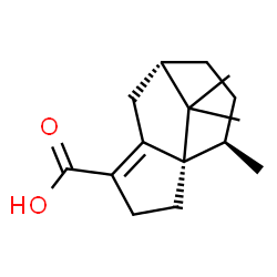ChemSpider 2D Image | (1R,7S,10R)-10,11,11-Trimethyltricyclo[5.3.1.0~1,5~]undec-4-ene-4-carboxylic acid | C15H22O2