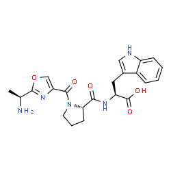 ChemSpider 2D Image | 1-({2-[(1S)-1-Aminoethyl]-1,3-oxazol-4-yl}carbonyl)-L-prolyl-L-tryptophan | C22H25N5O5