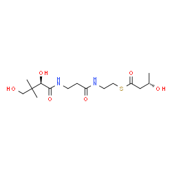 ChemSpider 2D Image | S-[2-({N-[(2R)-2,4-Dihydroxy-3,3-dimethylbutanoyl]-beta-alanyl}amino)ethyl] (3S)-3-hydroxybutanethioate | C15H28N2O6S